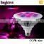 Specially Designed 12w Par38 E27 Greenhouses Structure With Hydroponic System Led Grow Light