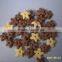 Kellogs Breakfast Cereals Making Machine