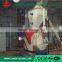 Cost Price Supreme Quality Biomass Pellet Production Line Price