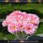 artificial gerbera daisy flower heads