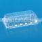 Transparent Disposable Plastic Food Pastry Container