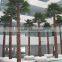 Office Building Landscaping Artificial Palm Tree