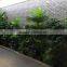 Shop Decor Artificial Tree Plants Projects