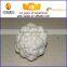 Wholesale high quality fake vegetable model for home decoration
