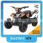 hot selling 800w electric mini quad(TBQ04)