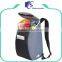 Polyester material small insulated oem cooler rucksack