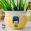 hand painting ceramic flower pot outdoor