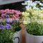 Newest Style A Potted Plant Artificial Potted Plant Potted Artificial Plant