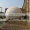 Small Biogas Power Generator