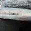 frozen fresh black marlin HGT cash sale