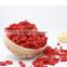 Zhongning red Goji berry /high quality