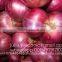 fresh small size shallot/high quality (Phone: +84979171029//Email: julia.vilaconic@gmail.com)