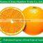 best price navel orange from Jiangxi area China