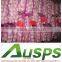 high quality agriculture wholesale china natural garlic offer