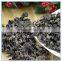 Dried China Black Fungus Mushroom for Sale