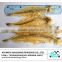 Wholesale dried bombay duck fish