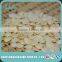 Peeled Debittered Apricot Kernel Seeds