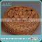 Hot selling apricot kernels with low price/Grade A apricot kernels with or without skin