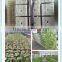 Seed Starting Hydropnics Rockwool for Nursery / Gardening