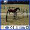 DM Metal Corral Horse Fence Panels For Sale