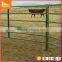 silver spray recycle used cattle handling equipment Combo Yard Systems