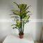fake decorative dieffenbachia rohdea artificial evergreen wholesale