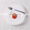 Good Quality Restaurant and Hotel Ceramic Rectangle Dinner Plate