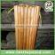 10 days fast delivery varnish coated wooden broom handle