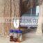 Agarwood Oil and Oud Attar, Special Gift From Nature, Long Lasting Scent and Wonderful Fragrance