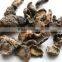 Amla Extract
