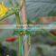 12cm waterproof plastic metal wire twist ties for agriculture and garden