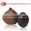 manufacturer supply solo black garlic