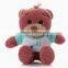 teddy bear cheap/mini teddy bear key chain /wholesale mini teddy bear