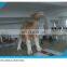 Happy inflatable camel family /helium camel balloon
