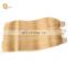 Russian Hair Tape Hair Extensions,Ombre Remy Tape Hair Extension,Tape Hair Extension in Dubai