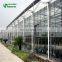 Glass Horticultural Greenhouse For Flower Growing