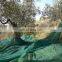 HDPE olive collection / collecting / collect net