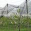 Mono wire protecting apple tree anti-hail net