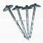 Galvanized 1/2"-6 roofing Q195 steel corrugated nail