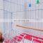 Wholesale Wrought Portable Chinese Large Aluminium Stainless Steel Iron Bird Parrot Cage
