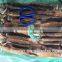 Frozen Argentina Squid exports with size 200 - 300 g