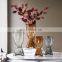 Nordic abstract face vase ins wine cabinet dining table transparent glass vases for home decor craft decoration
