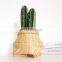 Hot Sale Mini Woven Bamboo Planter Pot Table Best Price Small Flower Plant Holder Wholesale Vietnam Supplier