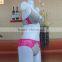 Free shipping zebra line decorative sweet girl bra underwear