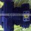 Rexroth closed circuit A4VG Variable axial piston hydraulic pump