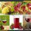 Leader CE&ISO certificate grape crusher website:leaderservice005