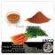 Water-Soluble Beta Carotene Powder