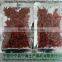 ORGANIC GOJI BERRIES ORGANIC DRIED GOJI BERRY,HOT SELL2015