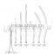 Intestinal Clamp Forceps