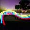 Festalight 2016 SMD5050 24V 12W/M Led Flexible RGB Neon Strip Light for Outdoor Lighting